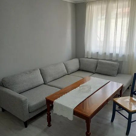 Daire Danojlic Višegrad